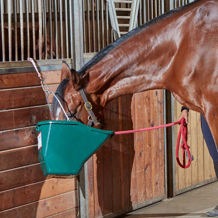 The Better Bucket – 2.5 & 5 Gallon Horse and Cattle Feeder, Ergonomic Feed - DLGT4 - 2.5 Gallons (10 Quarts) - Green - 6