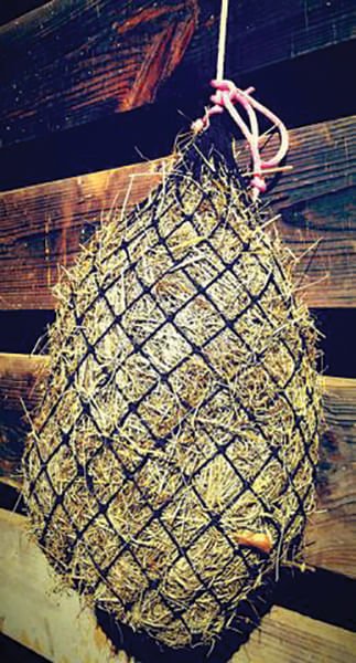 Texas Hay Net Small Hanging Net w/ 1.5