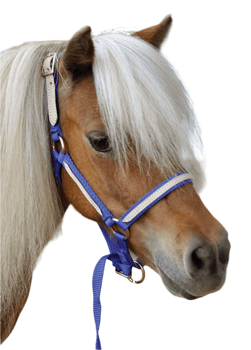 Tough1 Miniature Nylon Breakaway Halter, Large - JTIFD - Royal Blue - 5
