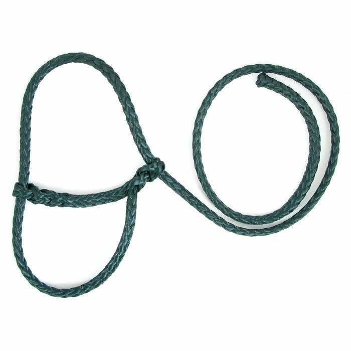Troyer's Braided Poly Sheep Halter - TYSJ - Hunger Green - 12