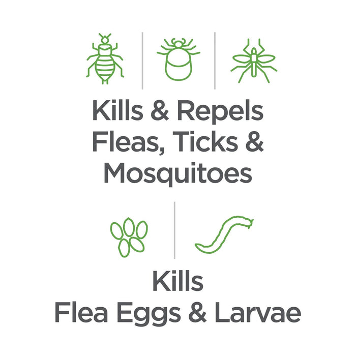 Vetality Avantect II Flea & Tick Shampoo for Dogs Size 8 FL OZ