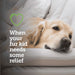 Vetality Canine Aspirin Size 300 MG