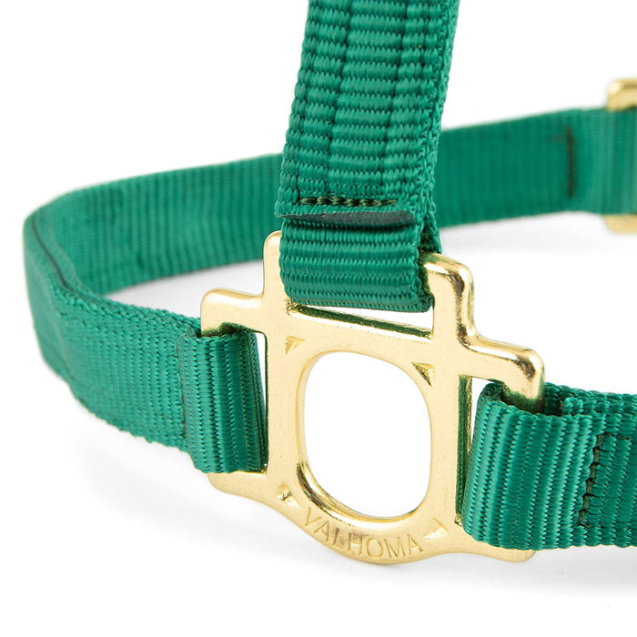 Valhoma Premium Breakaway Nylon Horse Halter with Leather Crown & Brass Hardware - V2ED - Foal - Green - 4