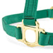 Valhoma Premium Breakaway Nylon Horse Halter with Leather Crown & Brass Hardware - V2ED - Foal - Green - 4