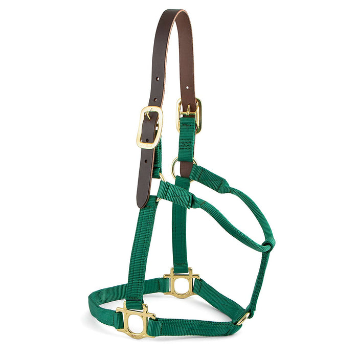 Valhoma Premium Breakaway Nylon Horse Halter with Leather Crown & Brass Hardware - V2ED - Foal - Green - 3