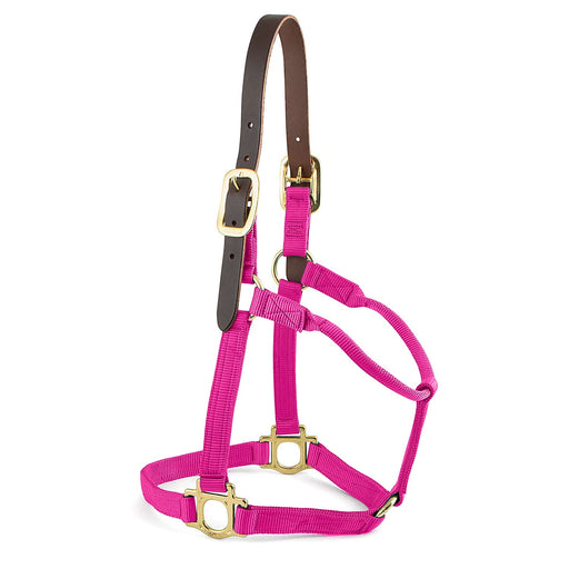 Valhoma Premium Breakaway Nylon Horse Halter with Leather Crown & Brass Hardware - V2EE - Foal - Hot Pink - 2