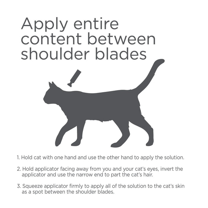 Vetality Advotect II for Cats, 6 pack - TVB1T - Cat 5 to 9lbs - 6