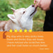 Vetality Aller - Immune Skin & Coat Well Chews for Dogs – Lamb Flavor, Supports Healthy Skin, Shiny Coat & Strong Pads - TVB3Q - Lamb - 60 ct - 7