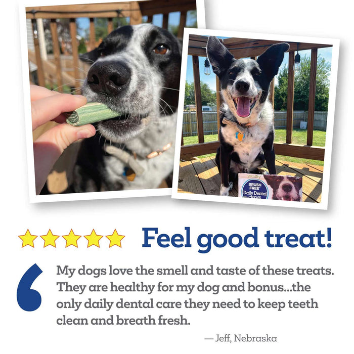 Vetality Brush Free Daily Dental Chews for Dogs, Plaque & Tartar Control, Fresh Breath - TVB3S - Mint - 30 ct - 11