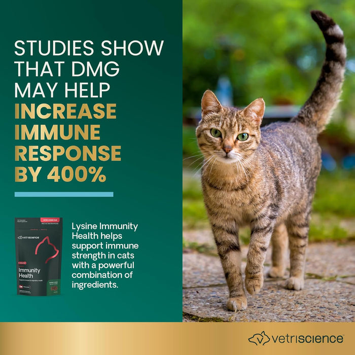 Vetri Lysine Plus for Cats, 120 Bite - Sized Chews - 015VS01-120 - 3