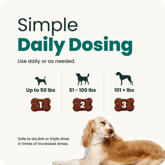 VetriScience Composure Long Lasting Calm & Confident Chews for Dogs, Chicken, 90 Count - VS32 - Chicken - 90 Chews - 7