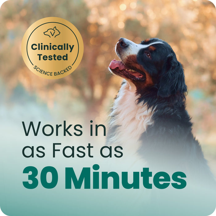 VetriScience Composure Long Lasting Calm & Confident Chews for Dogs, Chicken, 90 Count - VS32 - Chicken - 90 Chews - 3