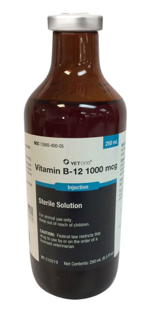 Vitamin B-12 Injectable for Horses, Dogs and Cats Lambert Vet Supplies Vitamin B-12 Injectable for Horses, Dogs and Cats Lambert Vet Supplies