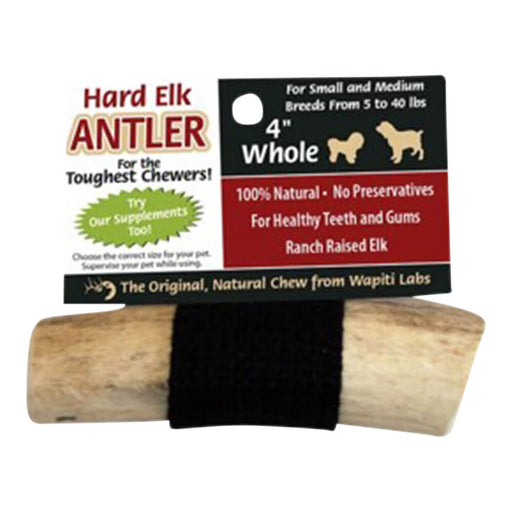 Wapiti Labs Elk Antler Dog Chews, 4', Whole - Jeffers - Dog Supplies > Dog Treats > Bones