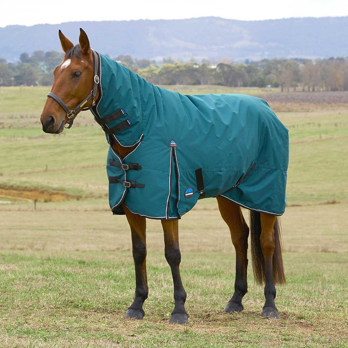WeatherBeeta ComFiTec Classic Combo Neck Heavyweight Turnout Blanket for Horses, 360g - Waterproof, Breathable & Full Coverage - KOBAW - Green - 66" - 360 g - 1