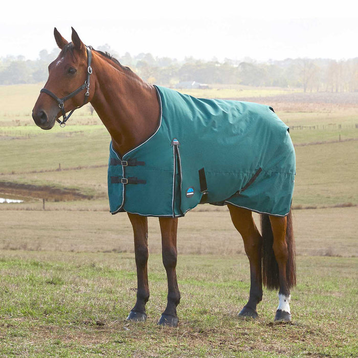 WeatherBeeta ComFiTec Classic Standard Neck Medium - Weight Turnout Blanket for Horses, 220g - Waterproof, Breathable & Durable - KOCAC - Green - 66" - 220 g - 1