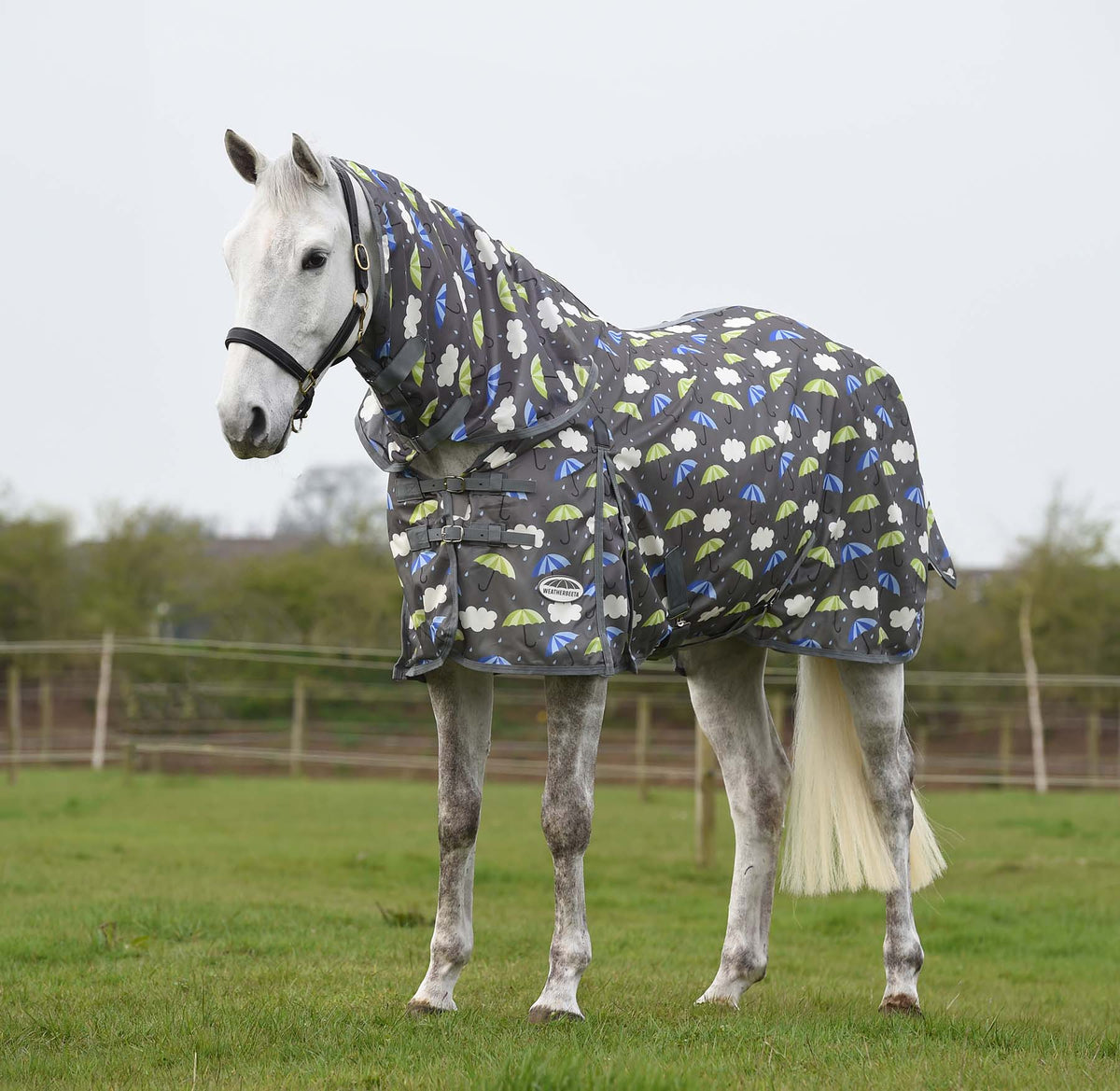 Weatherbeeta Comfitec Essential Mesh II Coperta Per Cavalli Con Collo Staccabile