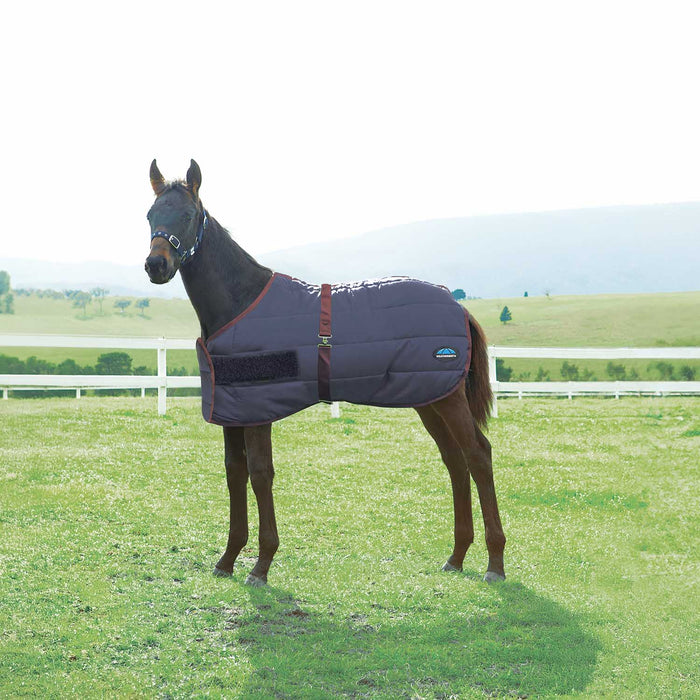 WeatherBeeta Foal Blanket, 220g - Medium Weight 420 Denier Standard Neck Turnout for Growing Foals - KOEAK - Navy - Newborn - 1