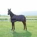 WeatherBeeta Foal Blanket, 220g - Medium Weight 420 Denier Standard Neck Turnout for Growing Foals - KOEAK - Navy - Newborn - 1