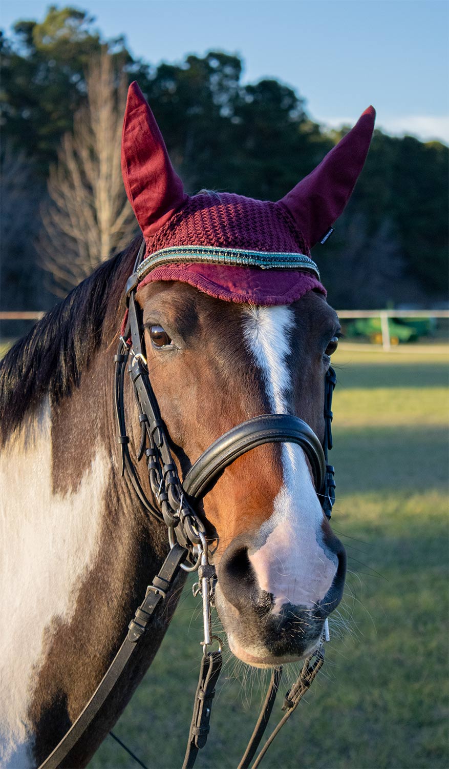 WeatherBeeta Prime Ear Bonnet with Crochet Design for Horses — Lambert ...