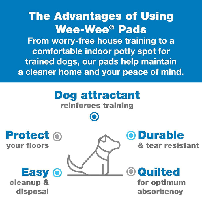 Wee - Wee Superior Performance X - Large Dog Pee Pads - 39ZH - 21 ct - 7
