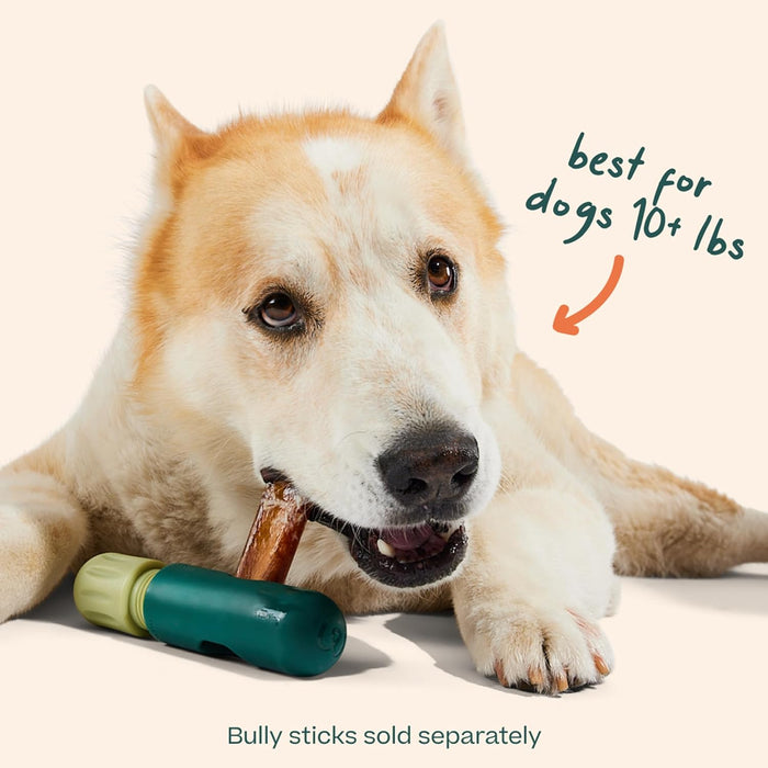BullySafe Color Green