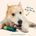 BullySafe Color Green