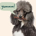 BullySafe Chews - Pure Collagen Size 6