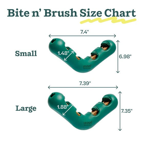 Bite n Brush Color Green