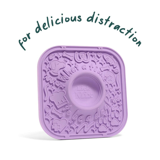 LickMat Color Lavender