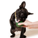Pupsicle Treat Tray Color Yellow