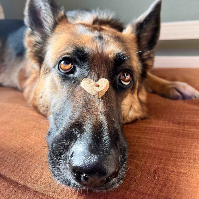 Wonder Bark Everyday All Natural Grain - Free Dog Treats - WB22 - PB N Jelly - 6 oz - 12