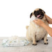 Woof Dog Wipes, Manuka Honey - 013NZ-WDW750MH - 26.5 oz - 80 Wipes - 7