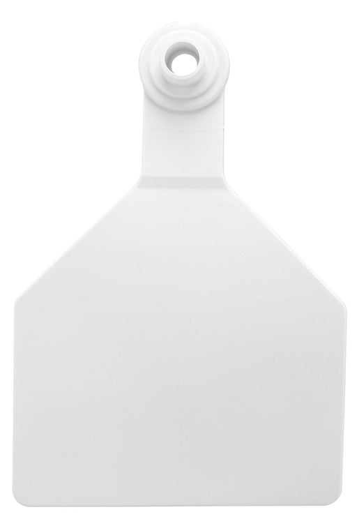 Z2 2 Piece Maxi Tags, Blank - Jeffers - Farm & Ranch Supplies > Identification & Ear Tags