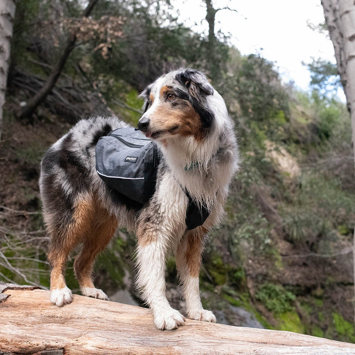 Zippy Paws Lightweight Adventure Backpack, Graphite - ZPP13 - Large - 8