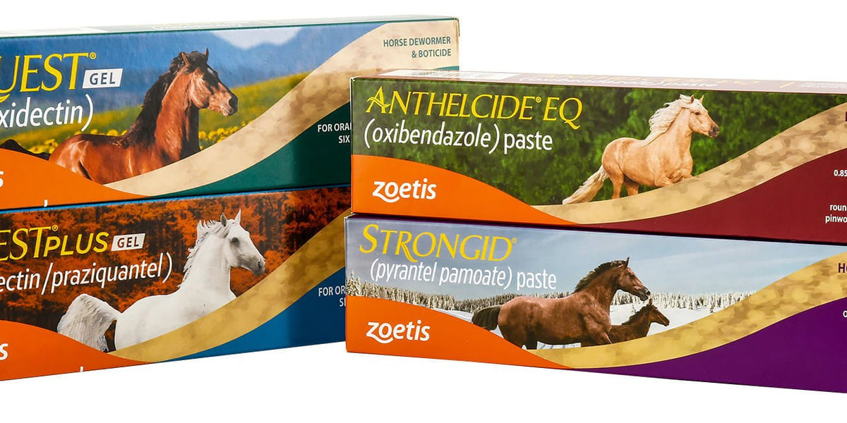 Zoetis Horse Deworming Kit (Full year supply) — Lambert Vet Supplies